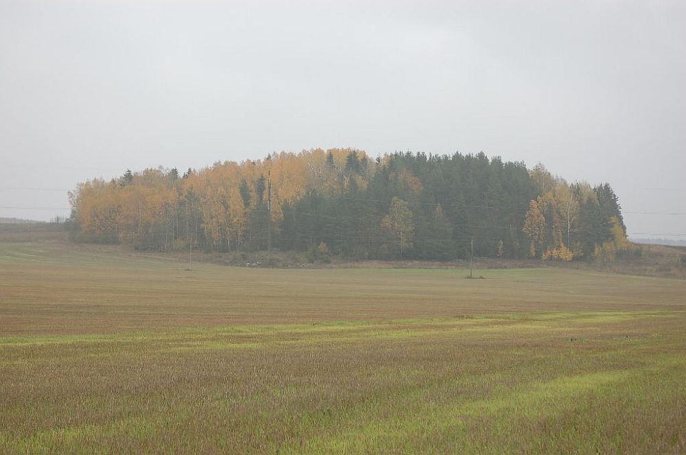 Hiiemägi sygisvines. Tõrma hiiemägi