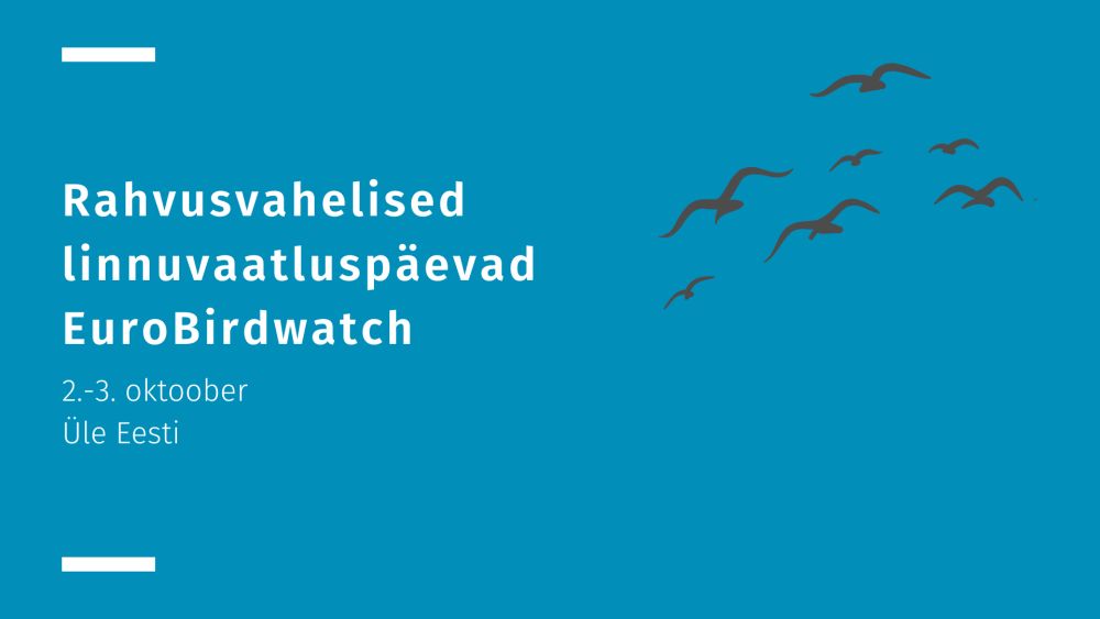 Linnuvaatluspäevadel EuroBirdwatch pööratakse tähelepanu rändlindudele