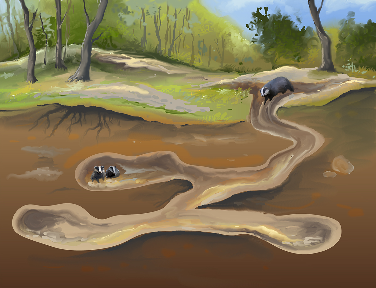 Innenbereich des Dachs Zuhauses | Looduskalender