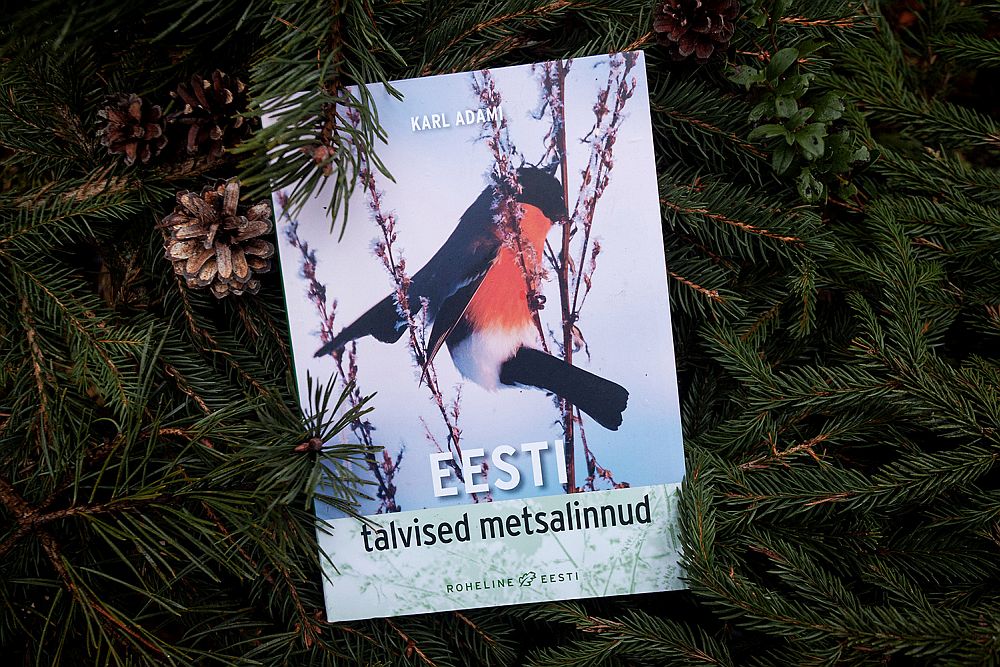 Eesti talviste metsalindude raamatu kaas