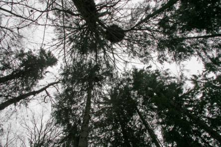 Suurema pildi avamiseks kliki pildil