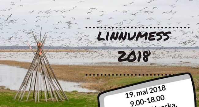 Linnumess