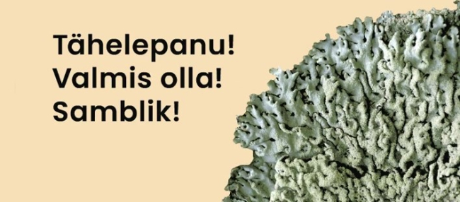 Sel suvel kutsub ELF koos TÜ lihhenoloogidega metsa ja raiesmikule puutüvedel kasvavaid samblikke pildistama. 