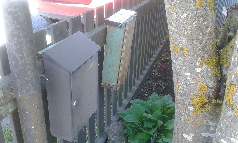 The tit pair nests beside the letterbox this year too (see the image below)