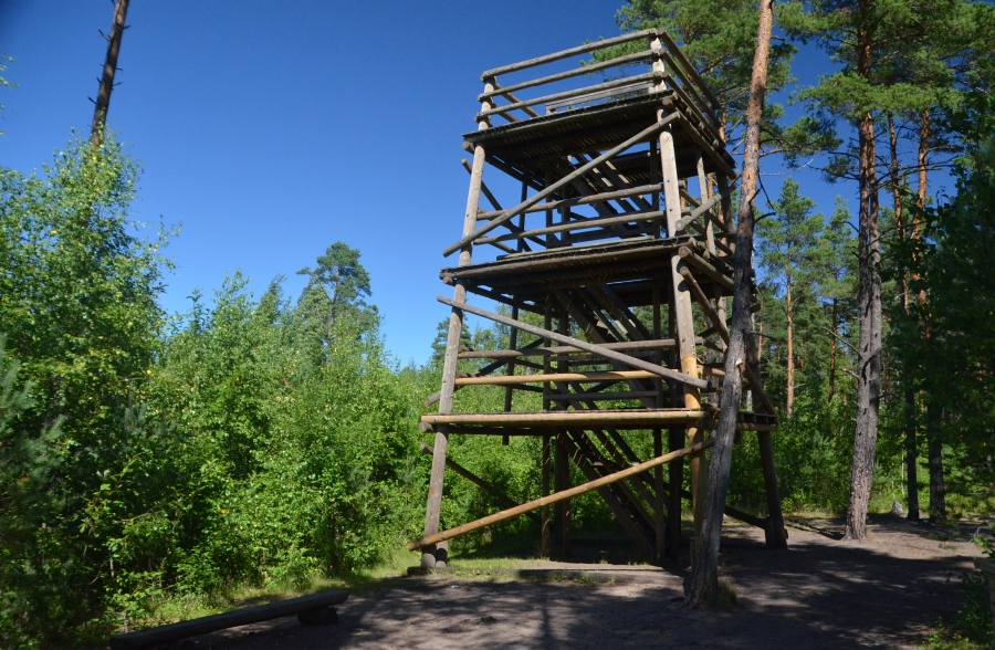 Pääsküla rabaraja vaatetorn.