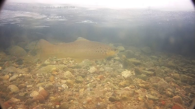 Kudeaeg on läbi saamas