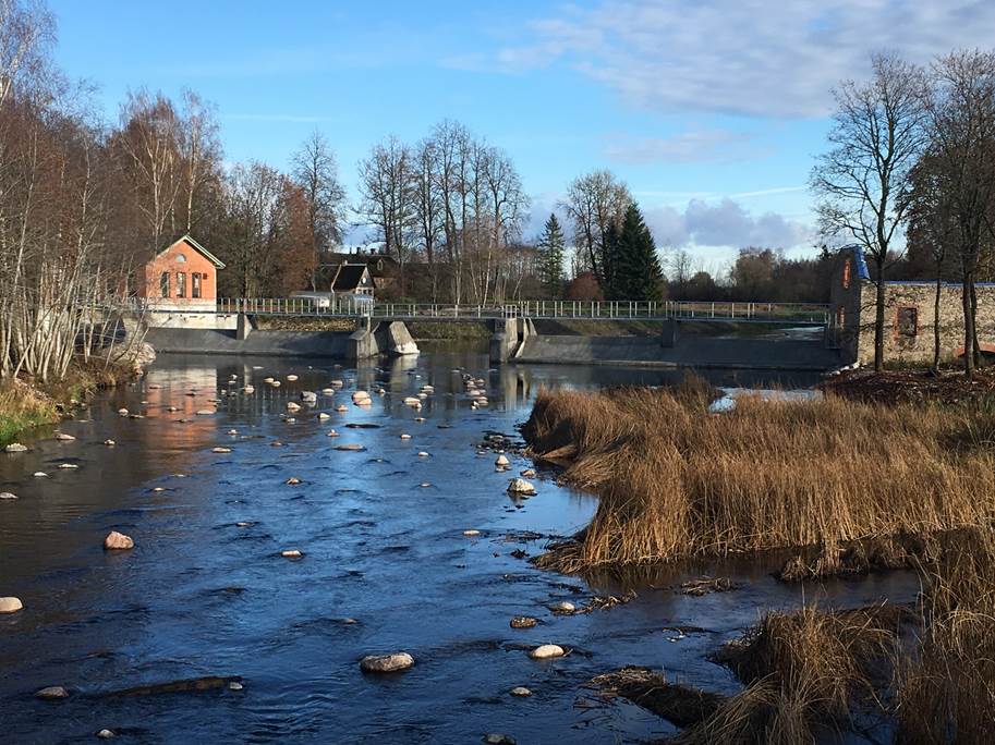 Jändja kalapääs Pärnu jõel on looduslikku tüüpi, tagades kaladele hea läbipääsu