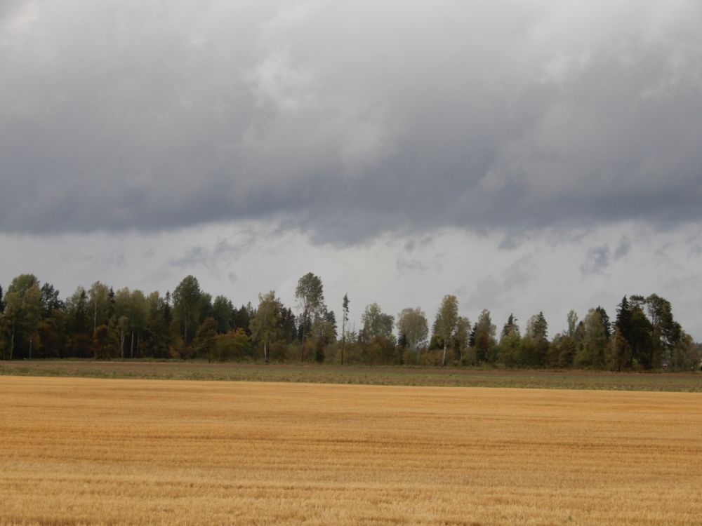 Lõpuks saabusid pilved, mis rohkesti vihma andsid