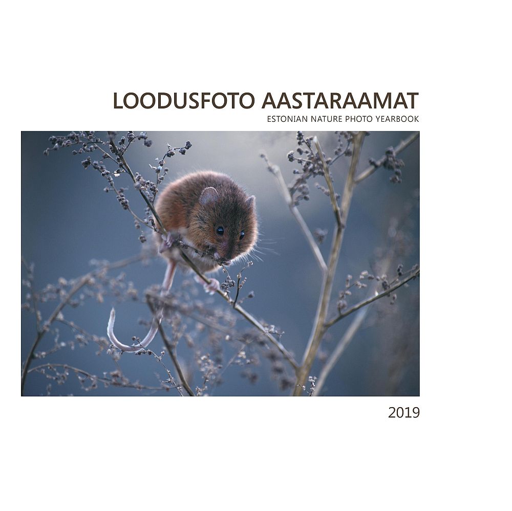 Loodusfoto Aastaraamatu 2019 kaanepilt