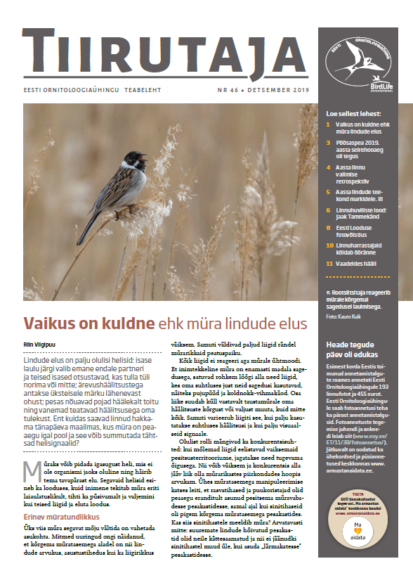 Äsja ilmunud teabelehest Tiirutaja saab lugeda Riin Viigipuu artiklit, kuidas saavad linnud hakkama tänapäeva maailmas, kus müra on peaaegu igal pool.