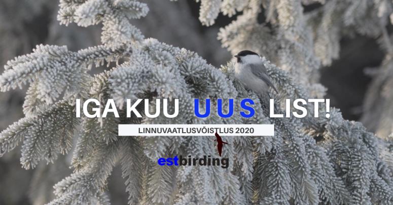 Linnuvaatlusvõistlus - 2020 