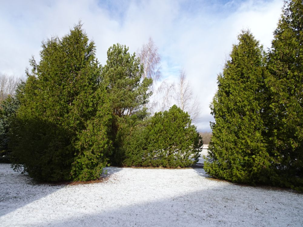 Ajutine lumikate 6. aprilli hommikul