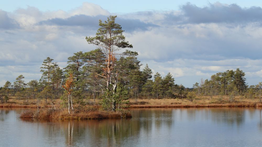 Kikepera raba Soomaa rahvuspark