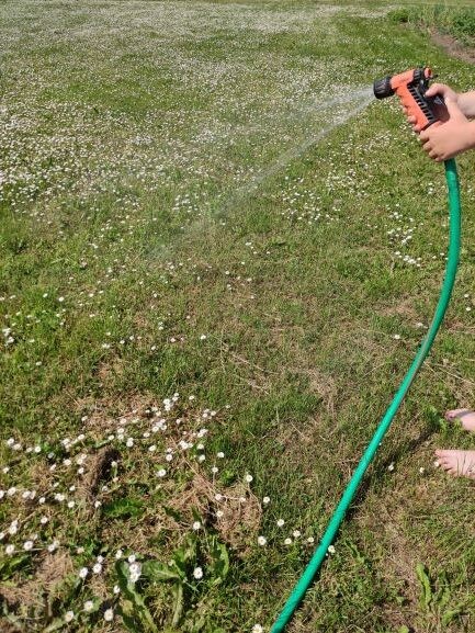 Eesti Vee-ettevõtete Liit palub loobuda joogivee kasutamisest kastmisveena. Oluline on kastmist vältida hommikustel ja õhtustel tundidel, kui kodune veetarbimine on suurem.