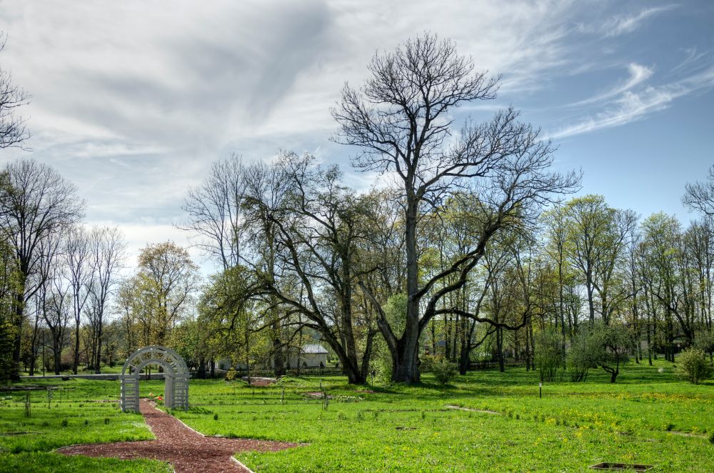 Sargvere mõisa suur saar