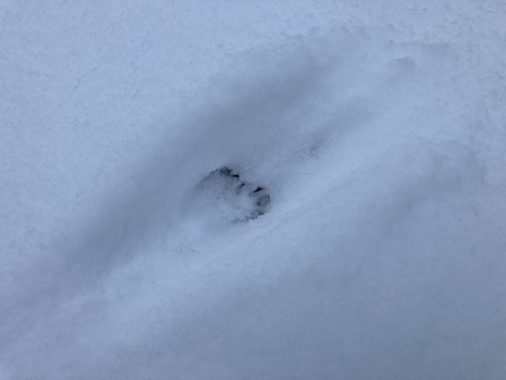 Mingi jalajälg