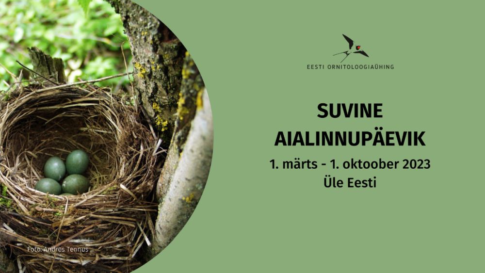 Suvine aialinnupäevik