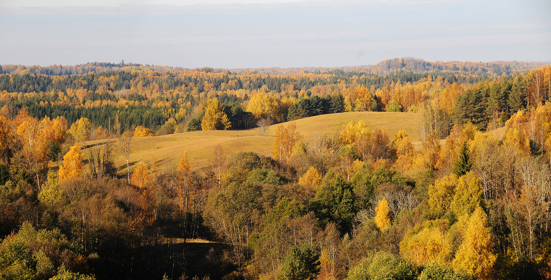 Foto: Martin Suuroja, Wikimedia Commons