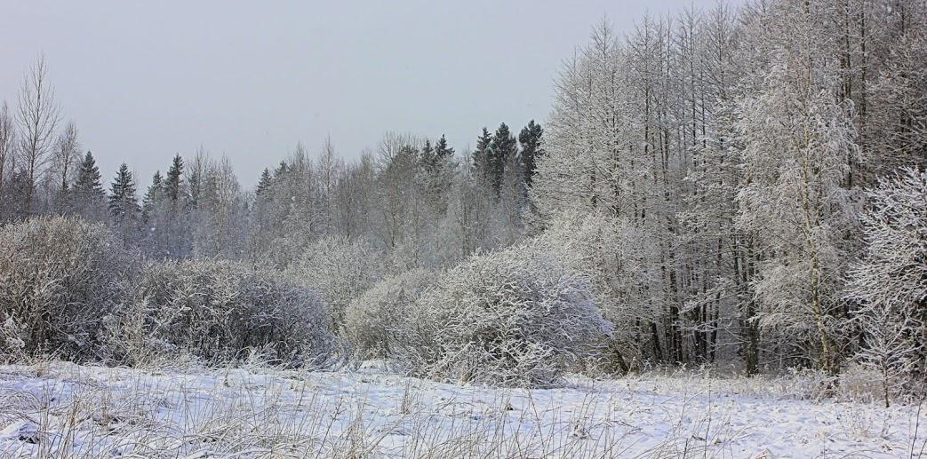 image02.jpg