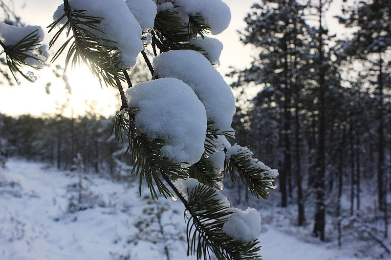 image05.jpg