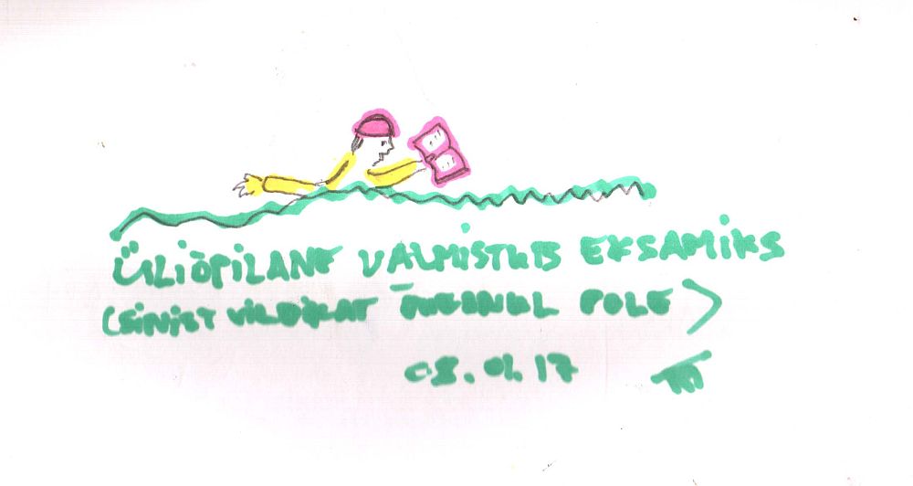 Onu Tomi onnike II. Õueonu päevaraamat