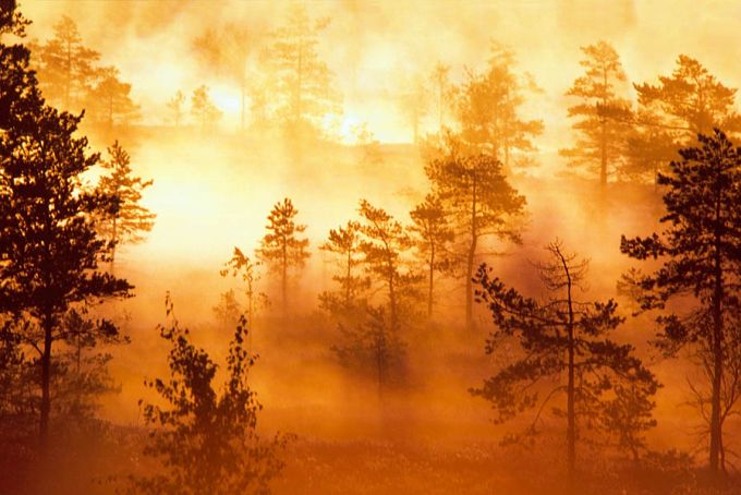 Päikesetõus Nigula rabas 