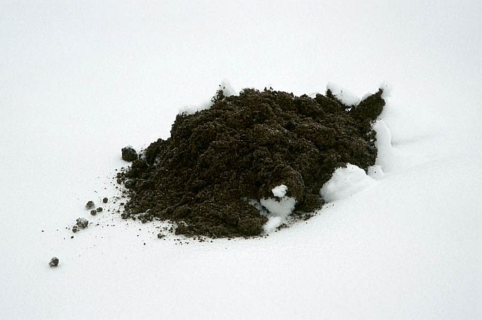 Mutimullahunnik