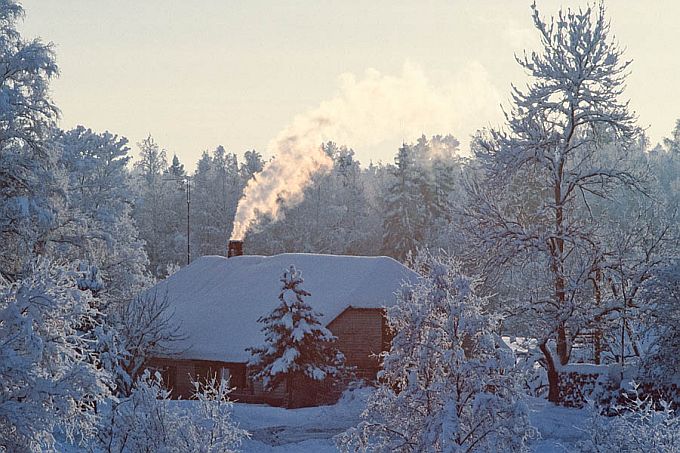 Karge talvehommik Hinnozirgol. Otepää kõrgustik 