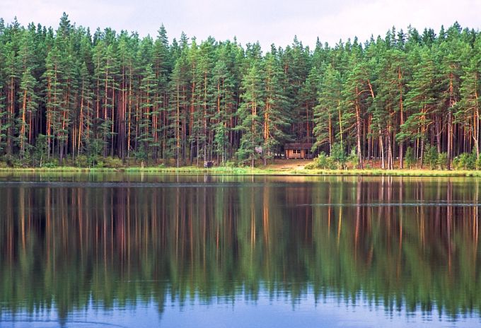 Nohipalu Valgjärv