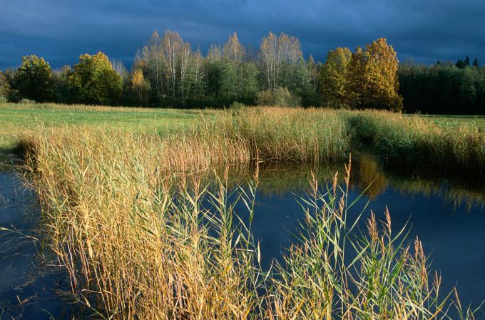 Lemmjõgi Mulgi heinamaal. Soomaa rahvuspark