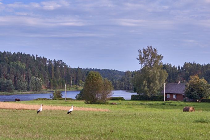Ainja järv