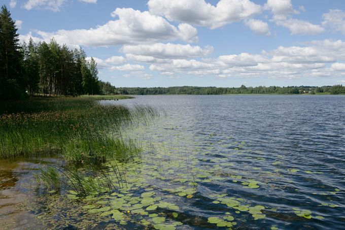 Jõksi järv