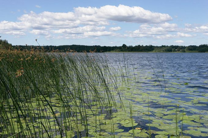 Jõksi järv 