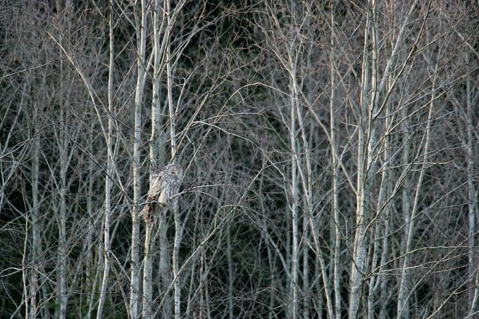 Raagus maastik. Raiga, Otepää kõrgustik