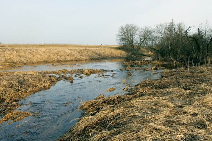 Kuivajõgi. Ajutine veesäng kevadise suurvee ajal