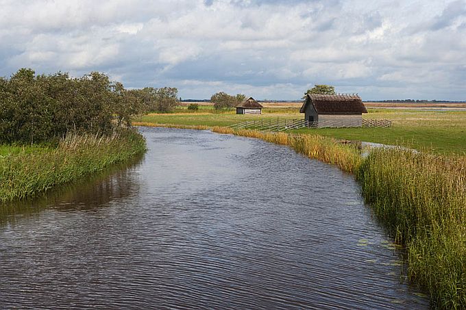 Suitsu jõgi. Matsalu