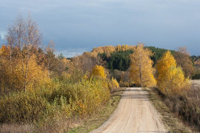 Kuldne sügis. Kavandu, Otepää kõrgustik 
