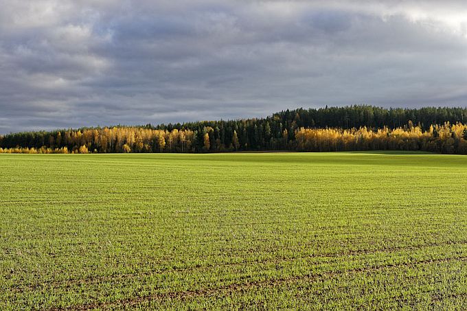 Vooremägi