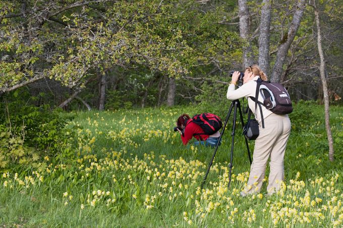 Loodusfotograafid Puhtulaiul