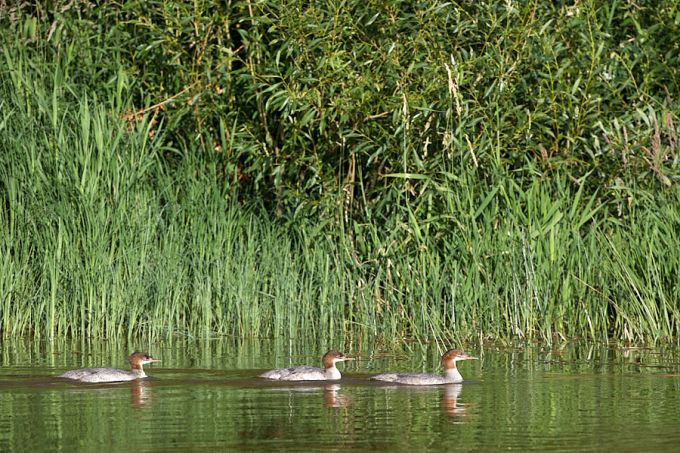 Jääkosklad. Suur-Emajõgi