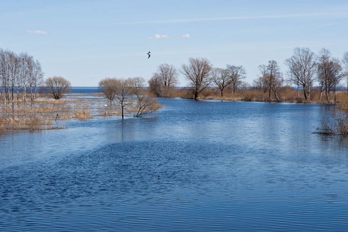 Tänassilma jõgi. Võrtsjärv