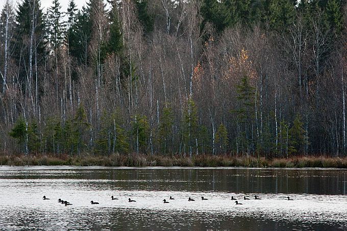 Uibujärv. Otepää kõrgustik