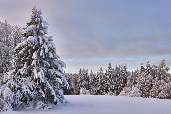Lukumägi. Haanja