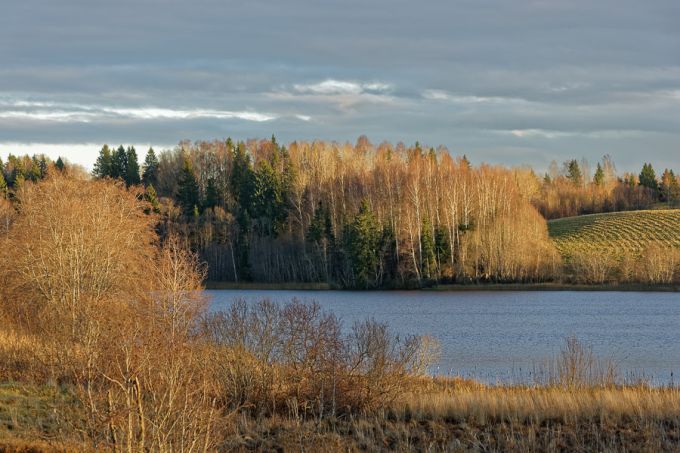 Vidrike järv. Otepää kõrgustik