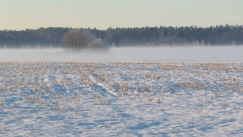 Õhtuti tekkis udu. 