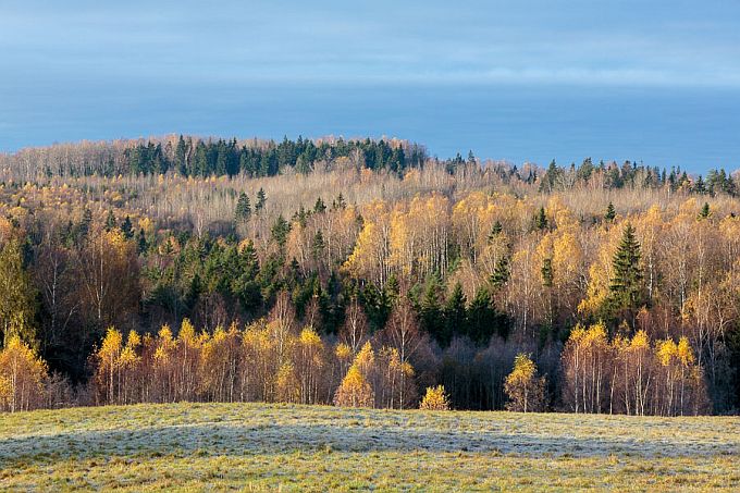 Kollane sügis. Otepää kõrgustik