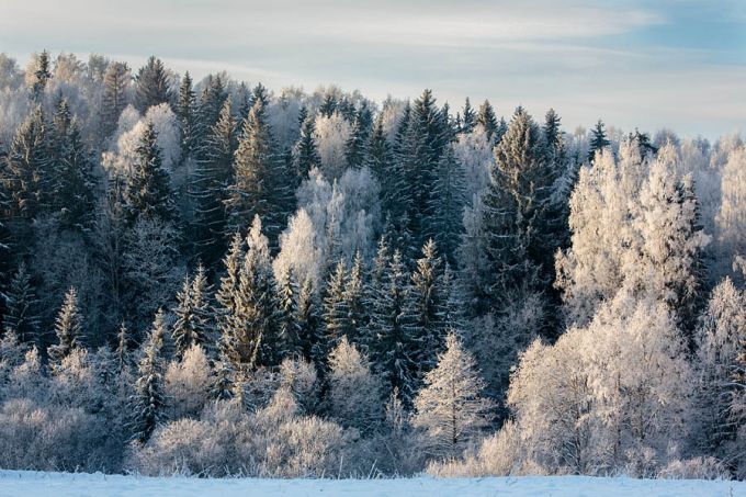 Härmas maastik. Otepää 