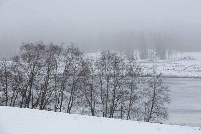 Foto: Arne Ader, Loodusemees.ee
