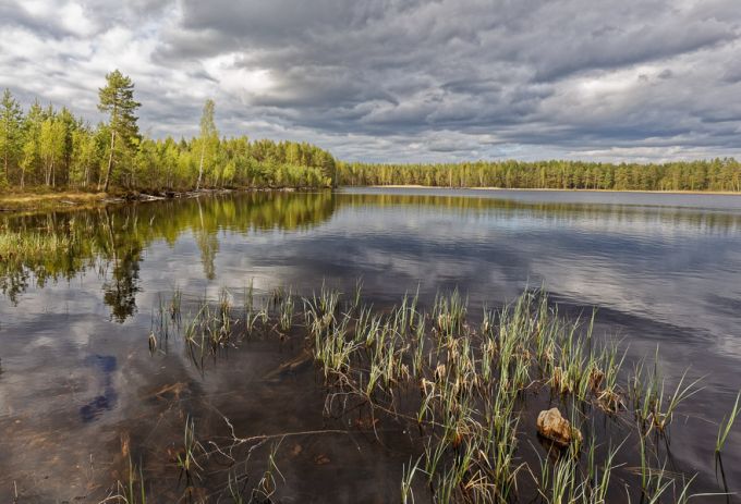 Kurtna Valgejärv