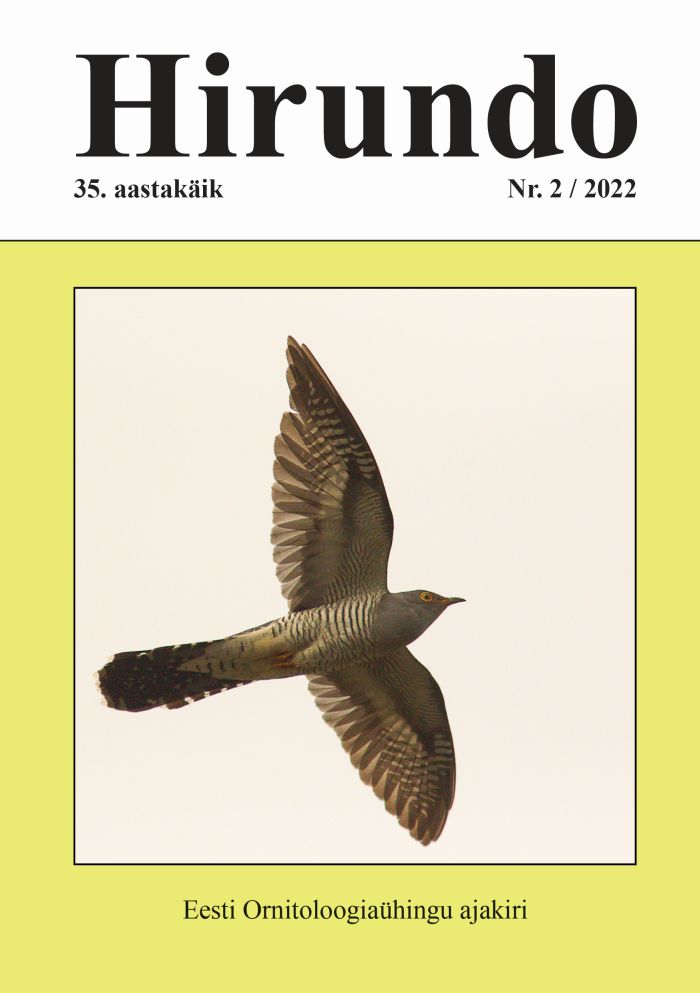hirundo
